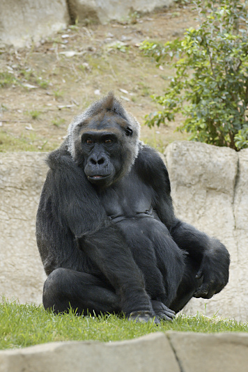 You have reached the last slide